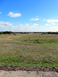 Oct 2013: 16 looking east from central cross